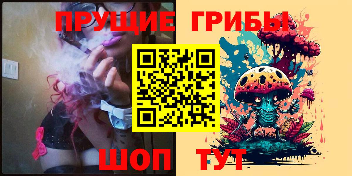 Семилуки  Псилоцибиновые грибы Psilocybe  Вход с VPN 